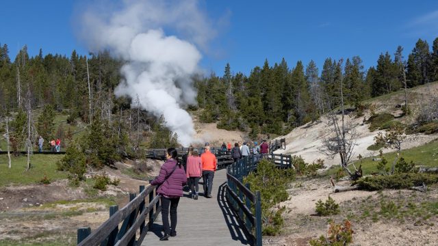 Rute Hiking Terbaik di Yellowstone untuk Semua Tingkatan