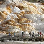 Spot Fotografi Terbaik di Yellowstone untuk Mengabadikan Keindahan Alam