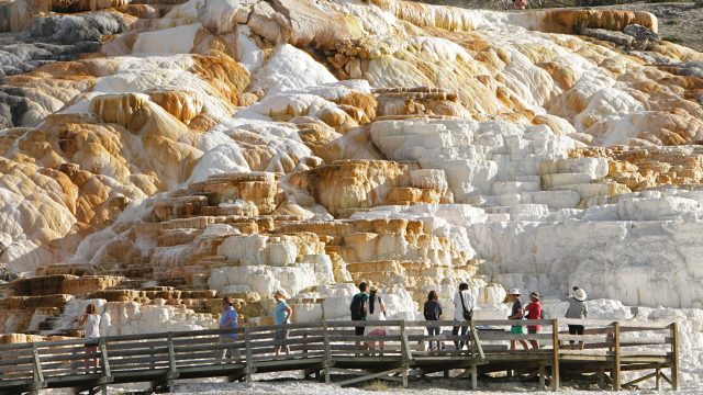 Spot Fotografi Terbaik di Yellowstone untuk Mengabadikan Keindahan Alam